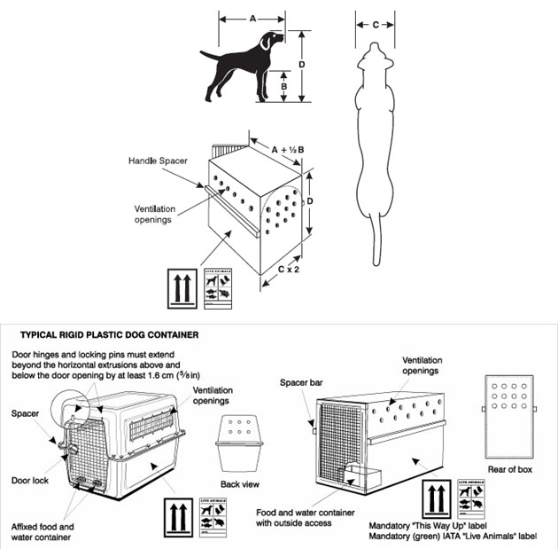 Diagram showing how to measure a dog for container sizing (A, B, C, D) and how those measurements map to the container's length, width and height