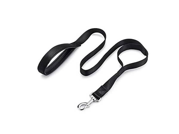 Double handle Nylon Dog Leash