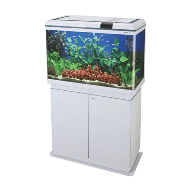 Jad Aquarium XF-80