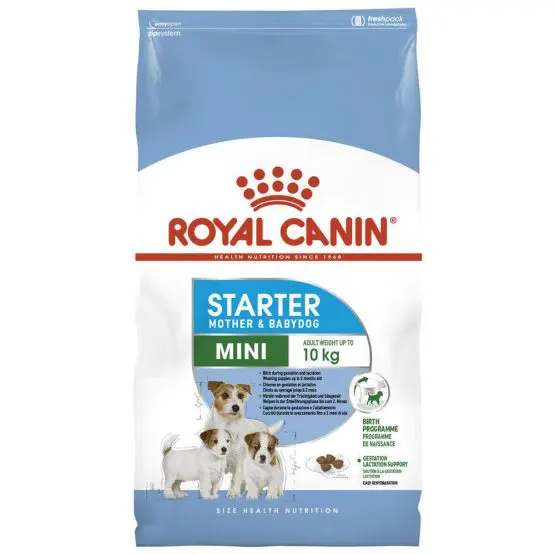 Royal-Canin-Mini-Starter-Mother-and-Babydog