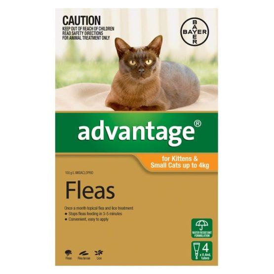 advantage flea treatment for small cats