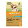 advocate-for-small-dogs-4-to-10kg