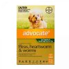 advocate-for-puppies-upto-4kg