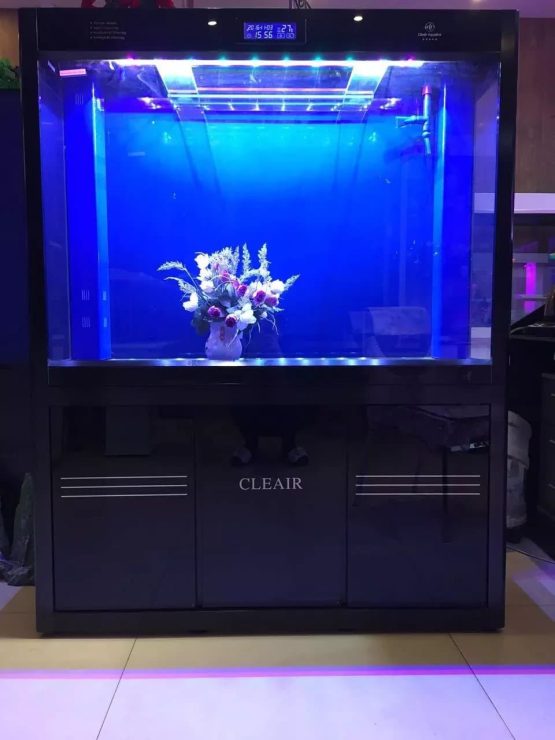 Cleair Aquatics Glass Aquarium