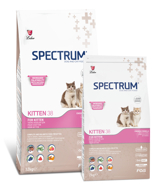 Spectrum Kitten38 Kitten Food