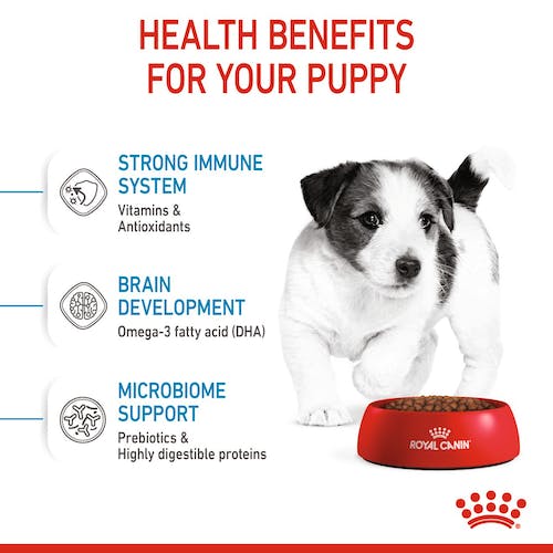 Royal Canin Mini Puppy Dry Food | Nutritionally Complete Food for Small ...