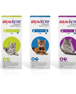 bravecto-cat-product-all