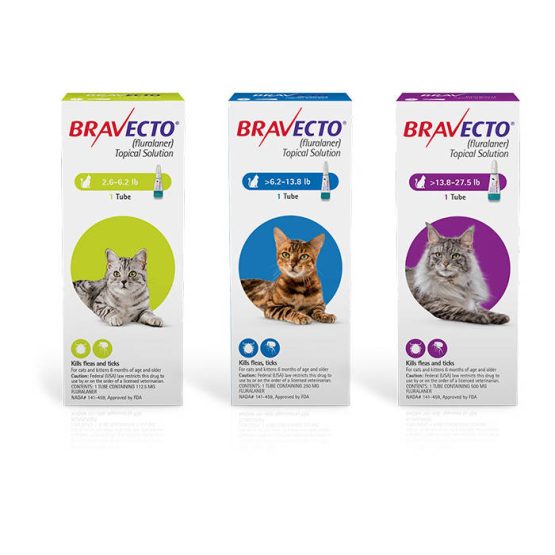 bravecto-cat-product-all