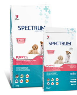 Premium Small/Medium Breed Puppy Food