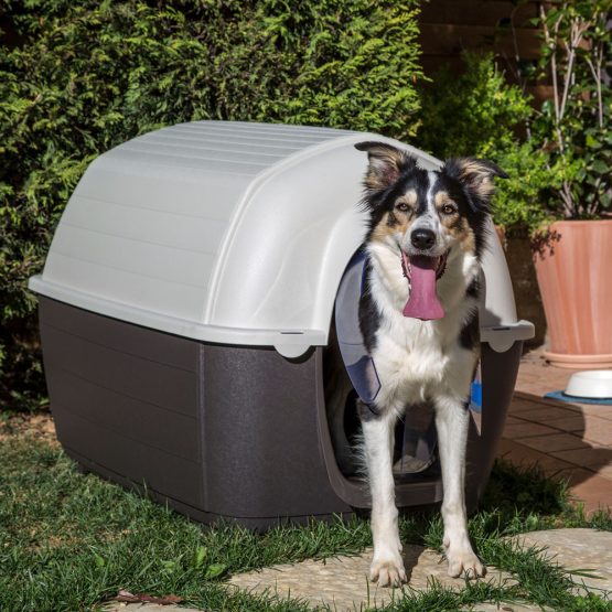 Bono Fido Igloo Plastic Dog Kennel - Image 2