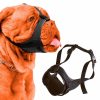 Ferplast Safe Boxer Dog Muzzle - being used