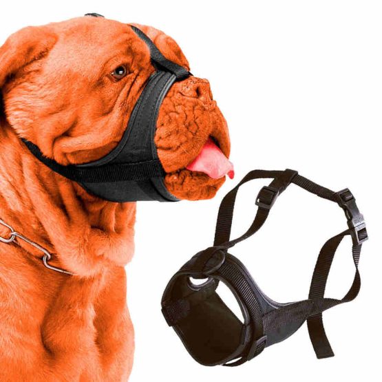 Ferplast Safe Boxer Dog Muzzle - being used