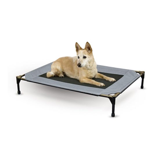 Pawise Pet Cot Raised Comfort Bed