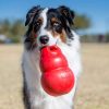 Kong Bounzer Dog Toy - being used