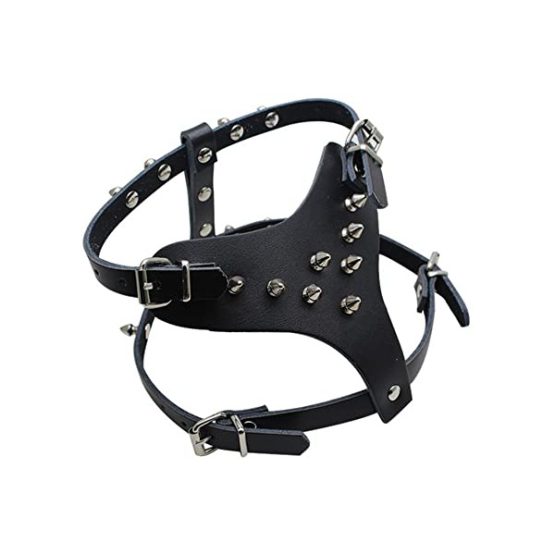 Vexus Leather Dog Harness