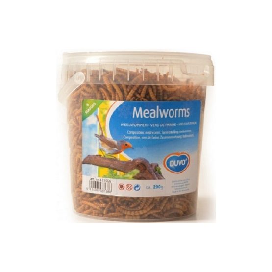 Meal Worms Duvo
