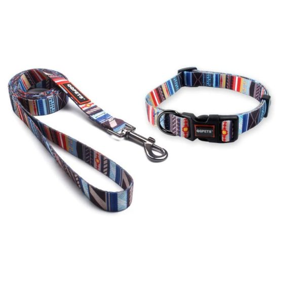 QQPets Walking Dog Leash and Collar Set - stripes