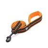 True love Reflective Leash - orage