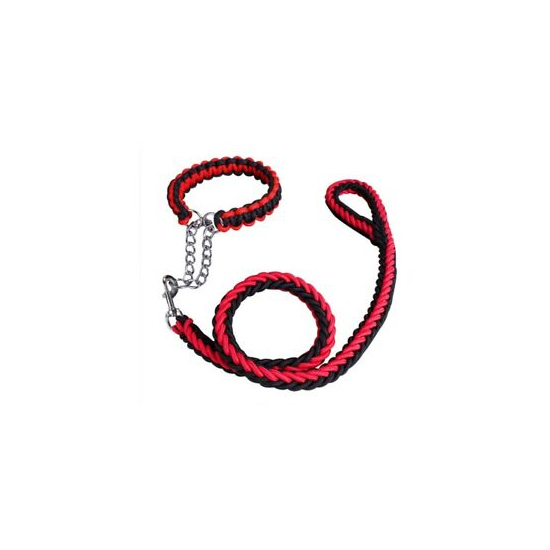 The Vexus Braided Rope Dog Leash with Martingale Collar