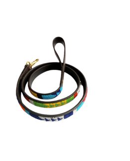 Vexus Beaded Leather leashes