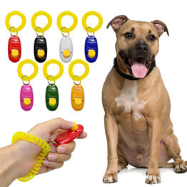 Dog Training Aids