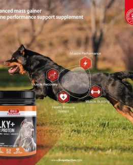 Bio PetActive Bulky Power Protein for Dogs