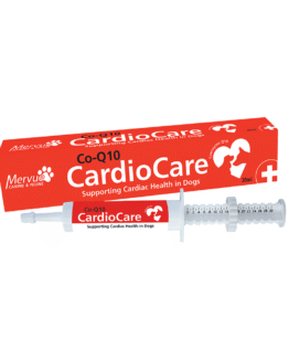 Cardiocare