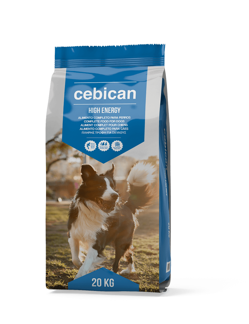 Best dog food for high energy dogs sale