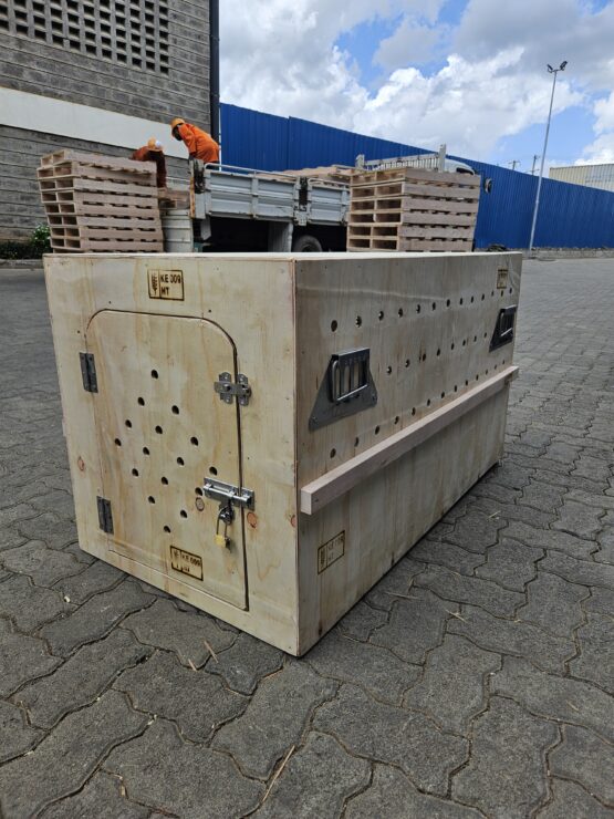 Casa Professional Wooden Crate – IATA Approved Airline Transport Kennel for Pets
