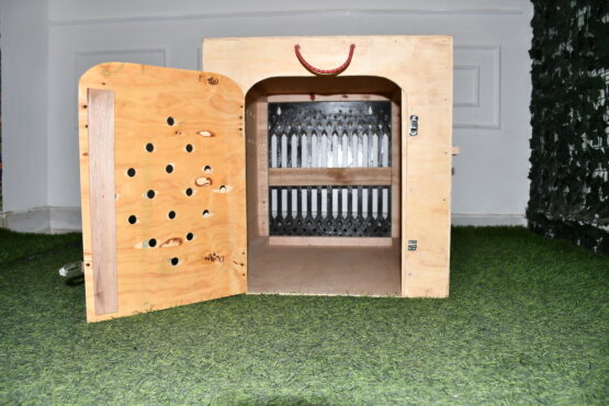 Casa Professional Wooden Crate (IATA Transport Kennel) - Image 8