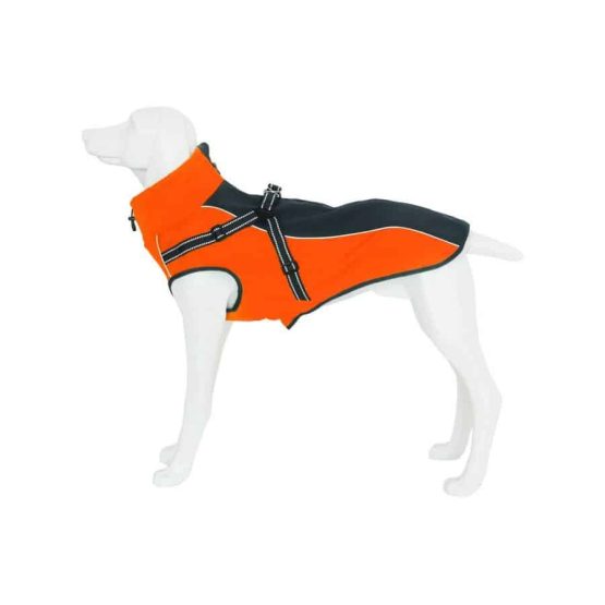Innopet Weatherproof Dog Jacket with harness