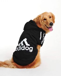 Adidog Dog Hoodie - being used