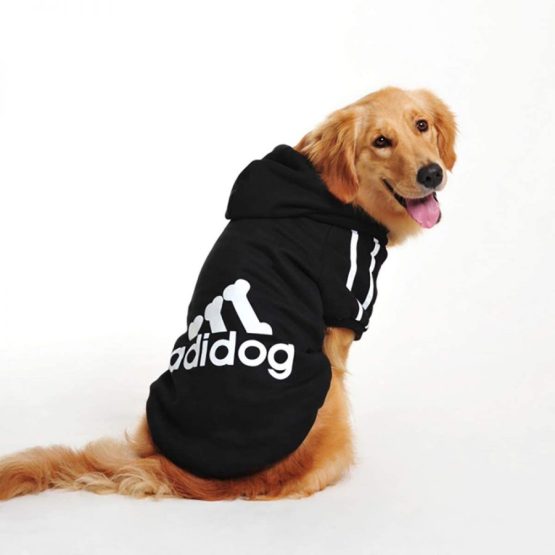 Adidog Dog Hoodie - being used