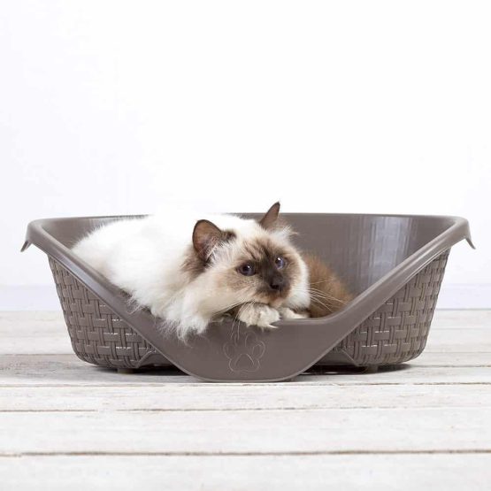 Bama Pet Nido Bed For Dogs and Cats with a cat