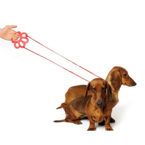 Bama Pet Orma Toy for Dogs being used as leash