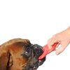Bama Pet Orma Toy for Dogs dog playing with human