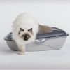 Bama Pet Sabbia Litter Box - Cat in box