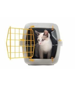 Cat Carrier & Crates