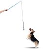 Dog Agitation, Training and Play Flirt Pole in use
