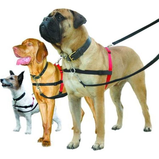 Halti No-Pull Dog harness - sizes