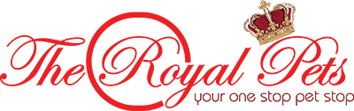 The Royal Pets - Pet store in nairobi kenya