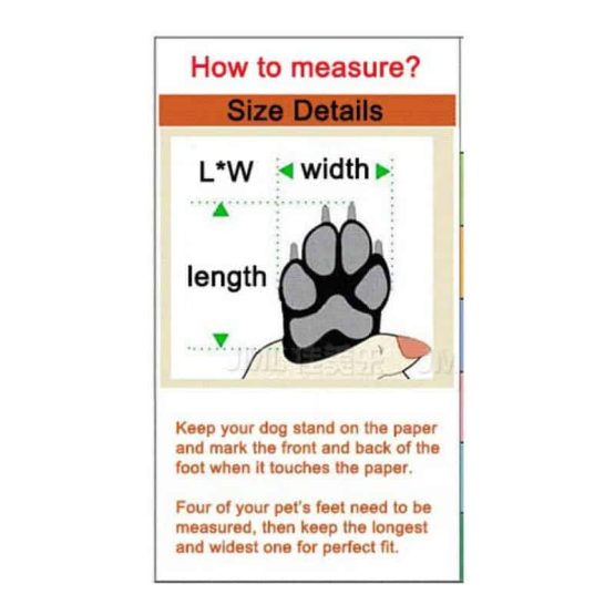 measuring your dogs paws for shoes