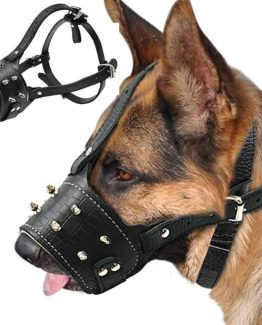 Padded Spiked Leather Dog Traning Muzzle for Large Dogs