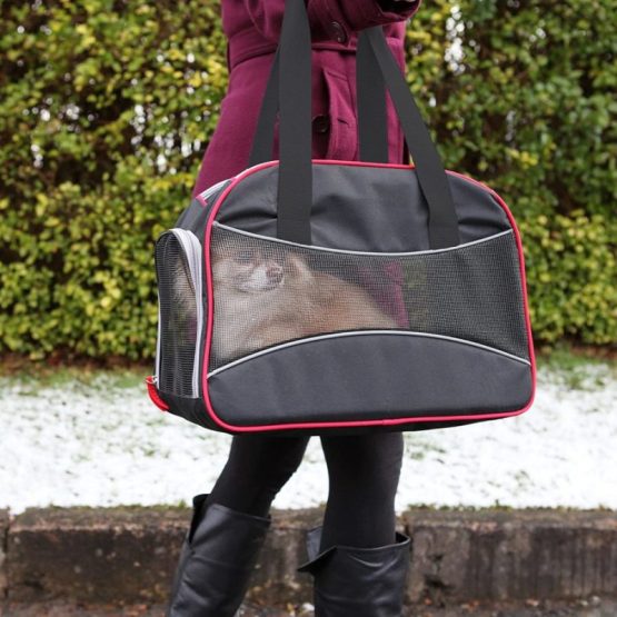 Rosewood Options Pet Carrier Bag - being used