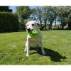 Rosewood Tough Crunch Rugby Ball Toy - all sizes