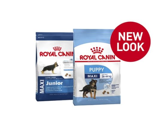 Royal Canin Maxi junior new look