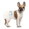 Simple Solution Original Disposable Diapers - dog wearing