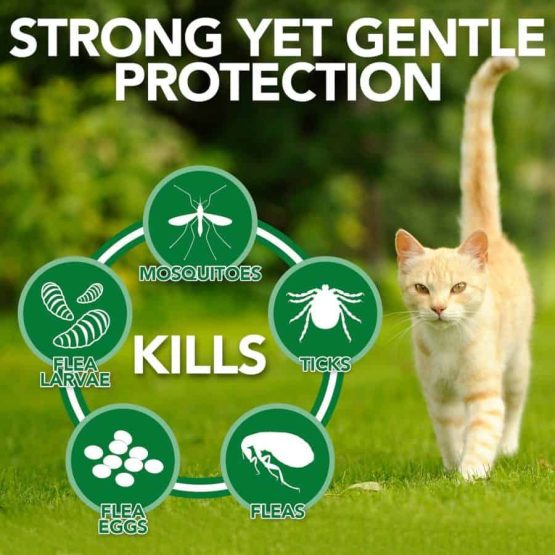 Vet's Best Cat Flea & Tick Home Spray advantages