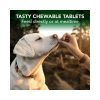 Vet's Best Seasonal Allergy Relief Dog Supplement - tasty tablets