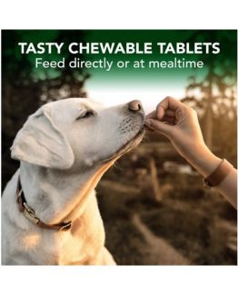 Vet's Best Seasonal Allergy Relief Dog Supplement - tasty tablets
